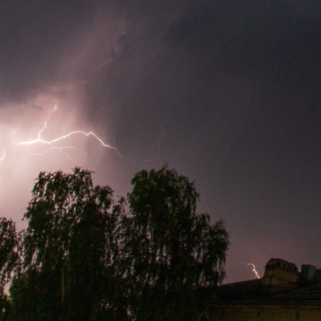 Rayo cae en árbol y mata a 6 vacas en plena tormenta eléctrica
