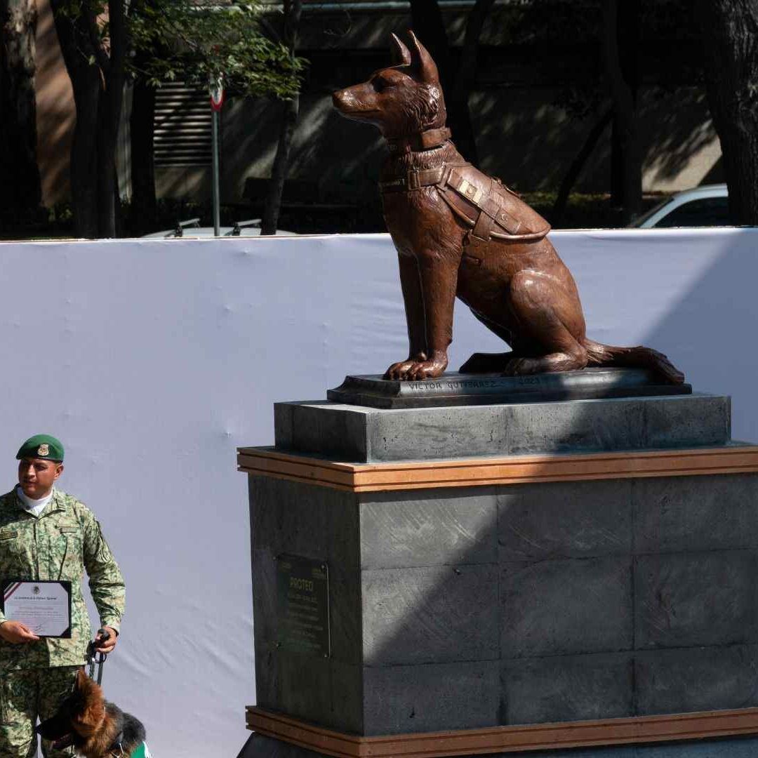 Estatua del perrito Proteo en Campo Marte