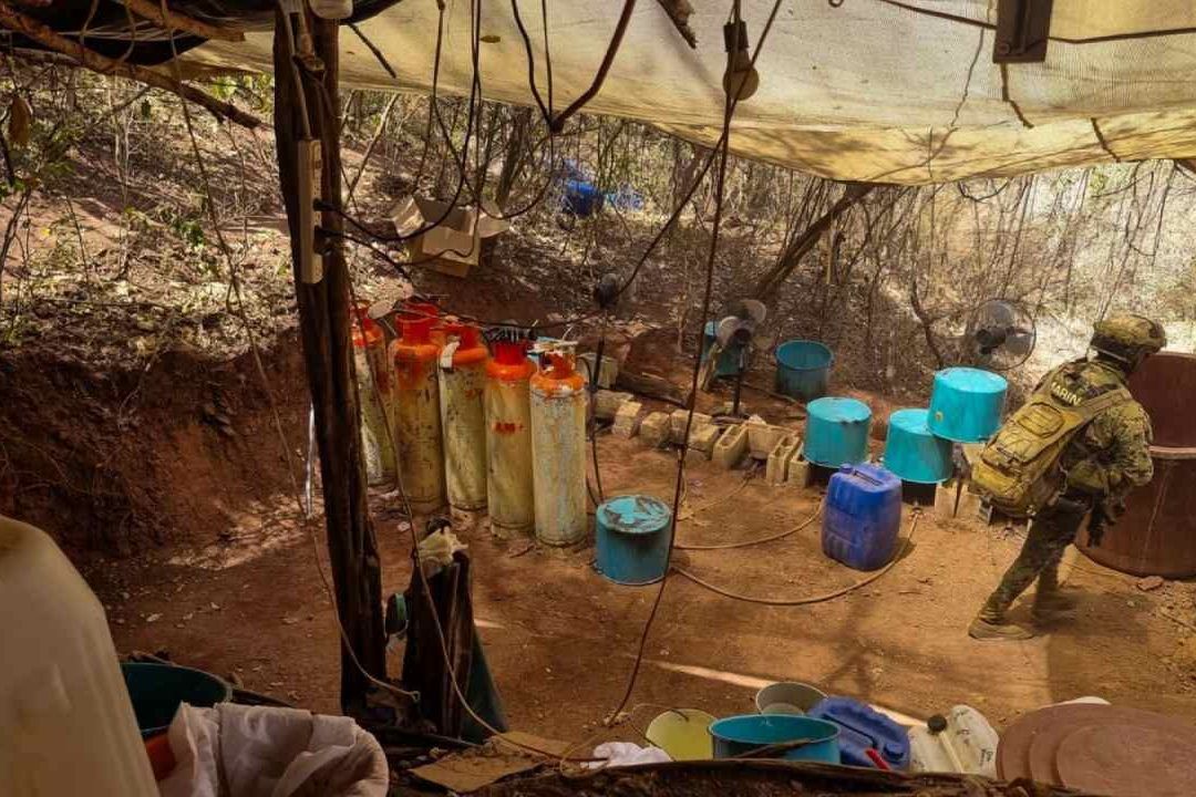 ‘Cárteles de la Droga’, Quinto Empleador más Grande en México: Estudio