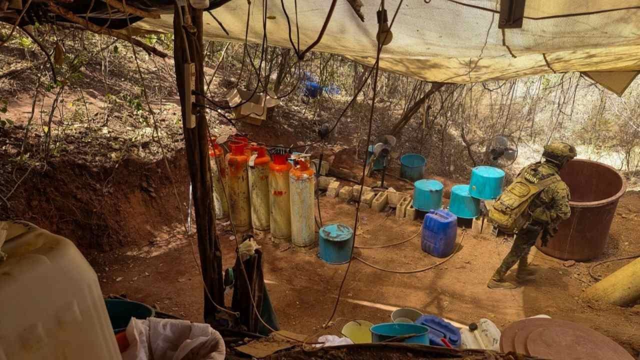 ‘Cárteles de la Droga’, Quinto Empleador más Grande en México: Estudio