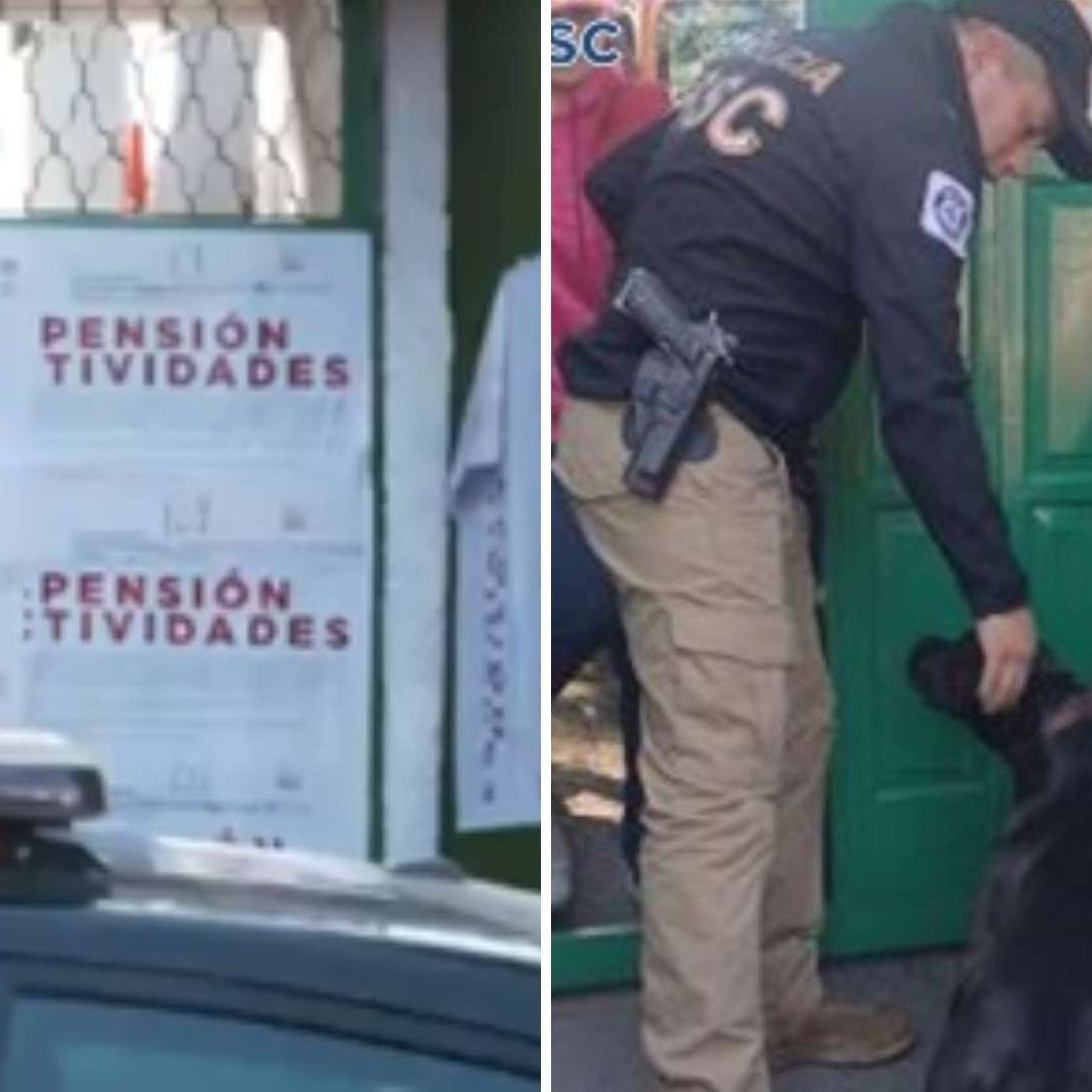 Perrita Margot: Suspenden Hotel para Mascotas Donde Fue Agredida