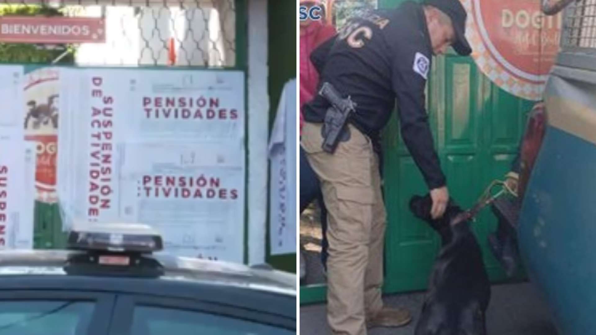 Perrita Margot: Suspenden Hotel para Mascotas Donde Fue Agredida