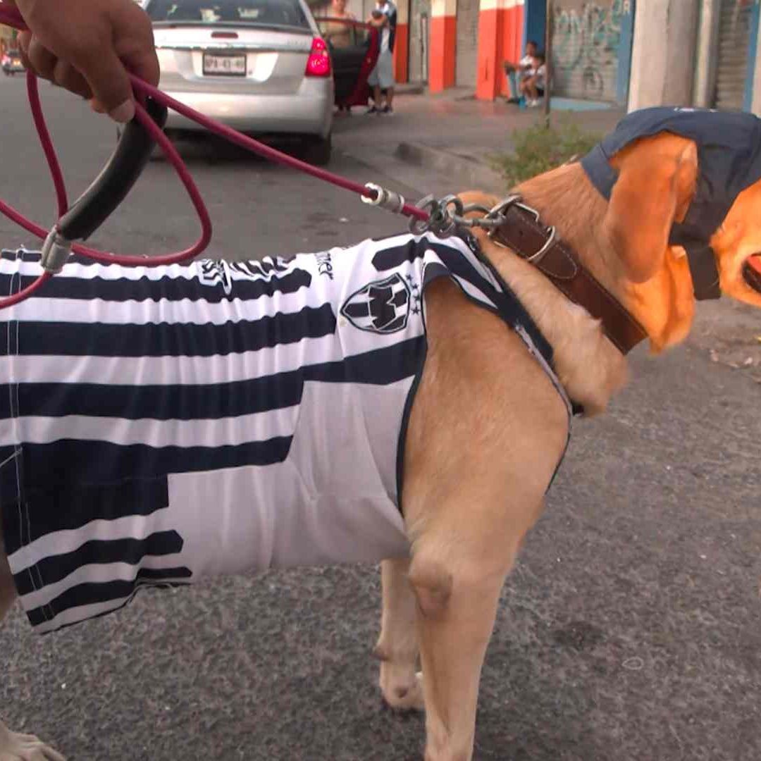 Un clásico bien perrón en Monterrey, Nuevo León