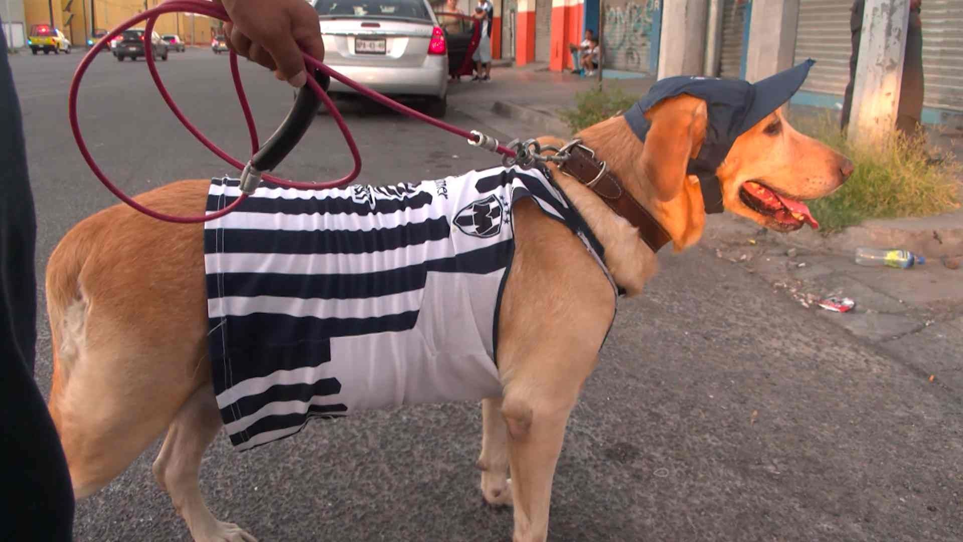 Un clásico bien perrón en Monterrey, Nuevo León