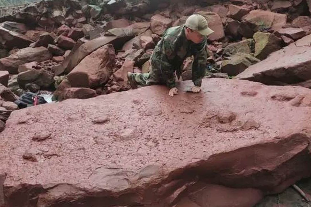 Niños descubrió rara combinación de huellas de dinosaurio mientras estaba jugando