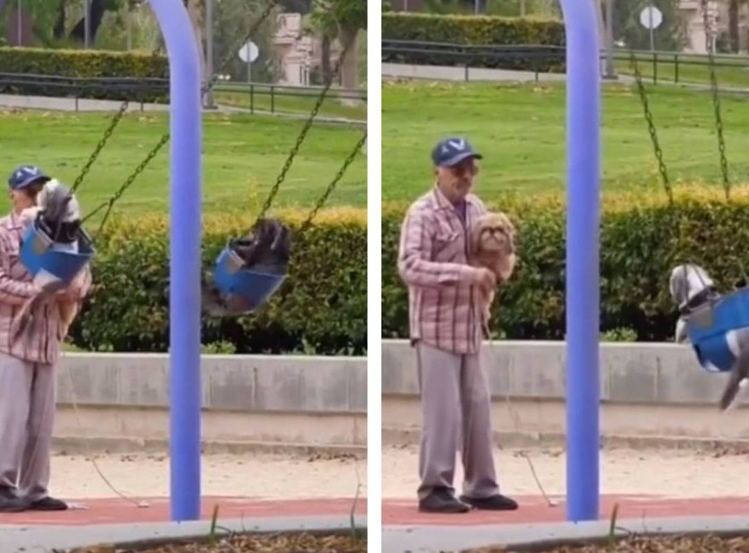 Video | ¡Qué Ternura! ‘Abuelito’ Columpia sus Mascotas en el Parque