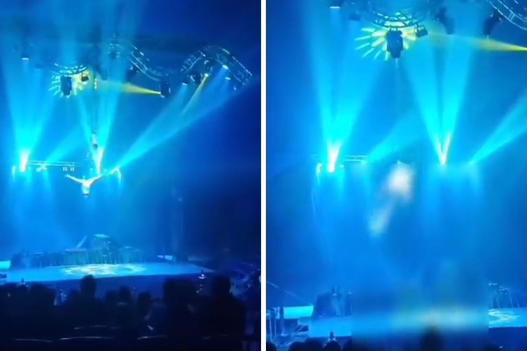 Video | Caen Trapecistas a 5 Metros de Altura Durante Presentación en Circo