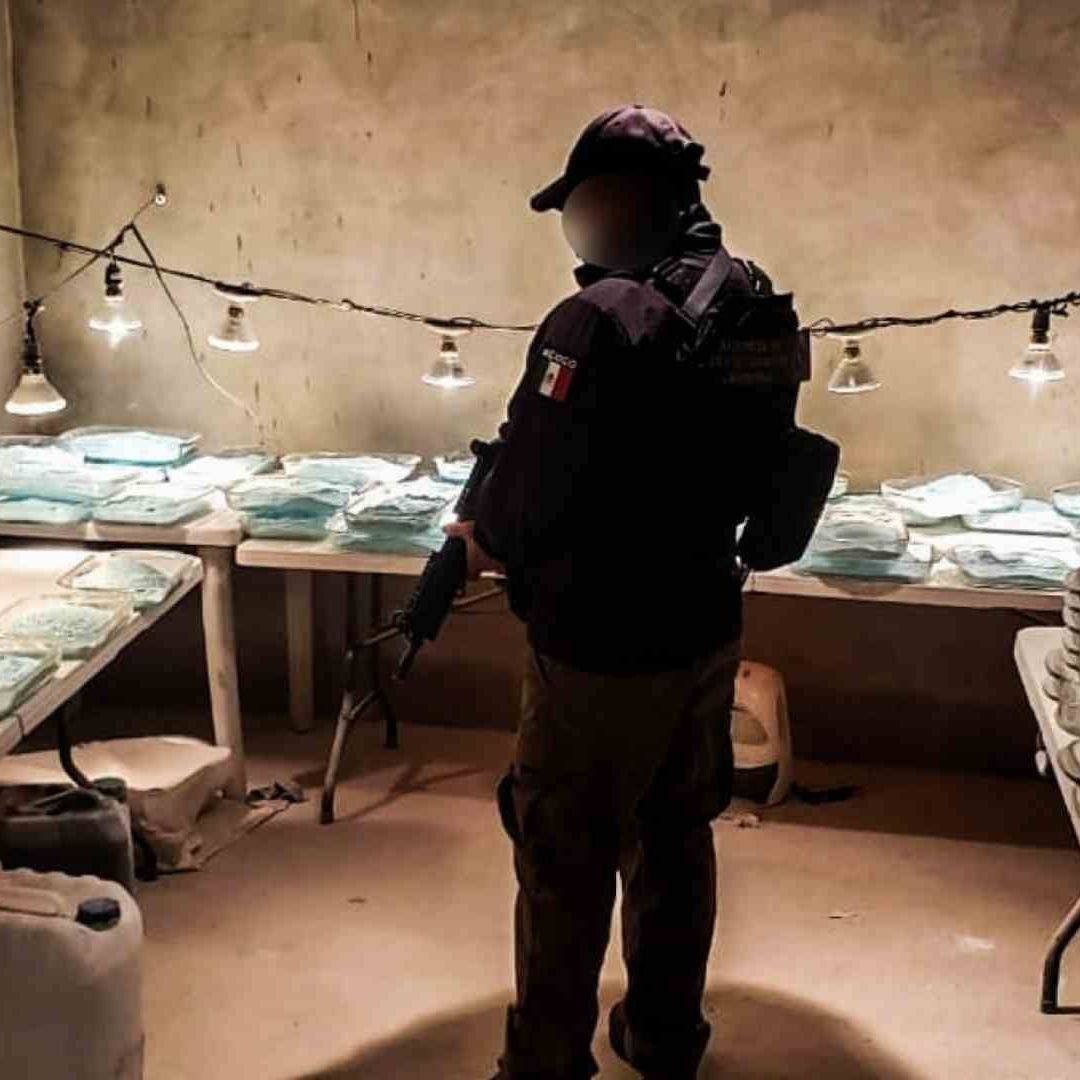 La FGR incautó pastillas de fentanilo en Tijuana
