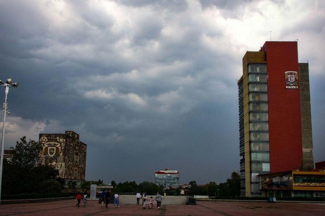 Chinches: Facultades de la UNAM determinan suspender clases presenciales
