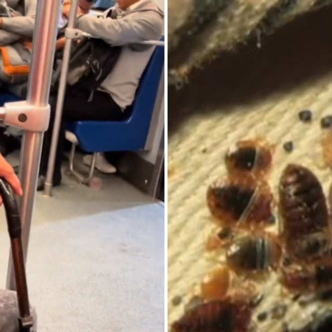 Video: Hombre Mata Chinches en Metro CDMX