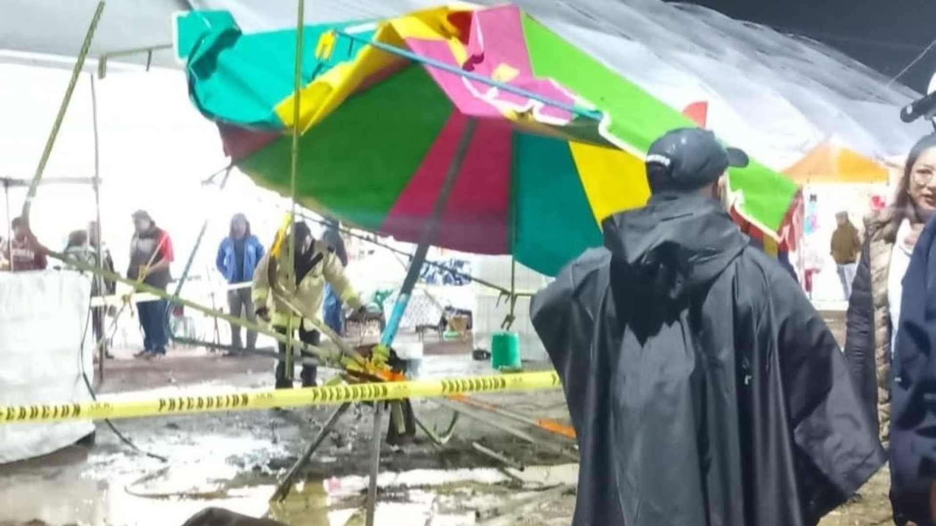 Pony muere electrocutado en Feria