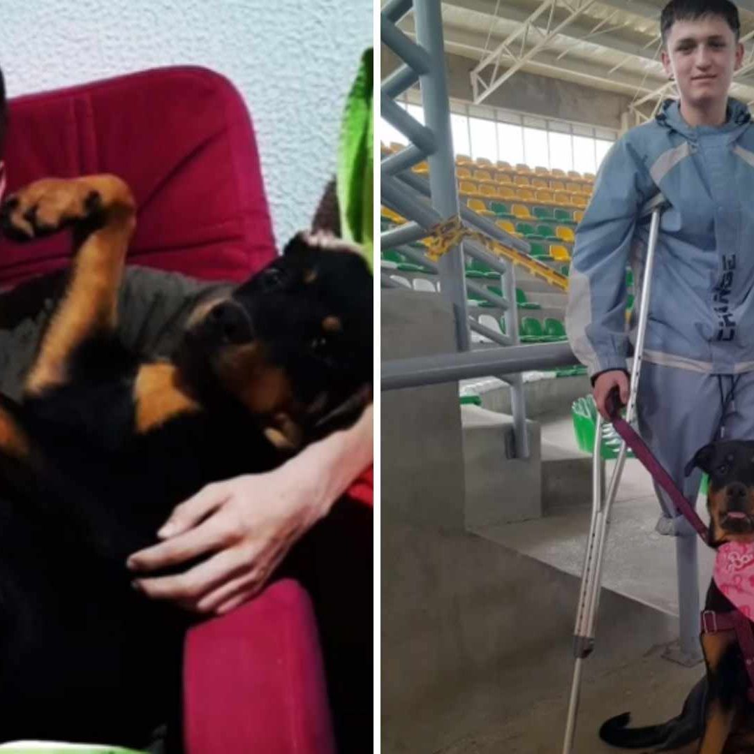 Joven Salva a su Perrito de Ser Atropellado y Pierde Una Pierna
