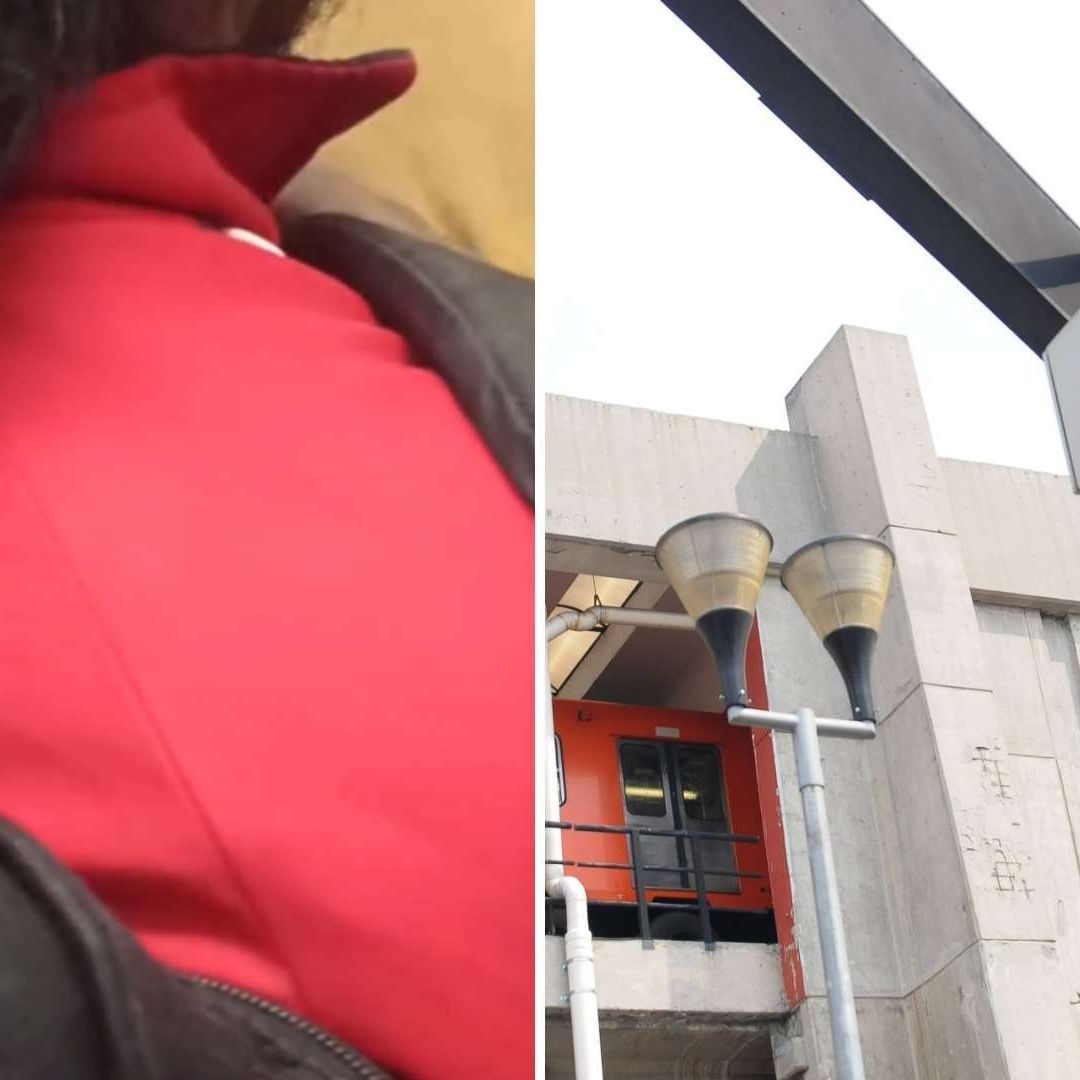 ¿Chinche o Cucaracha? Captan Insecto en Pasajero de la Línea 9 del Metro CDMX