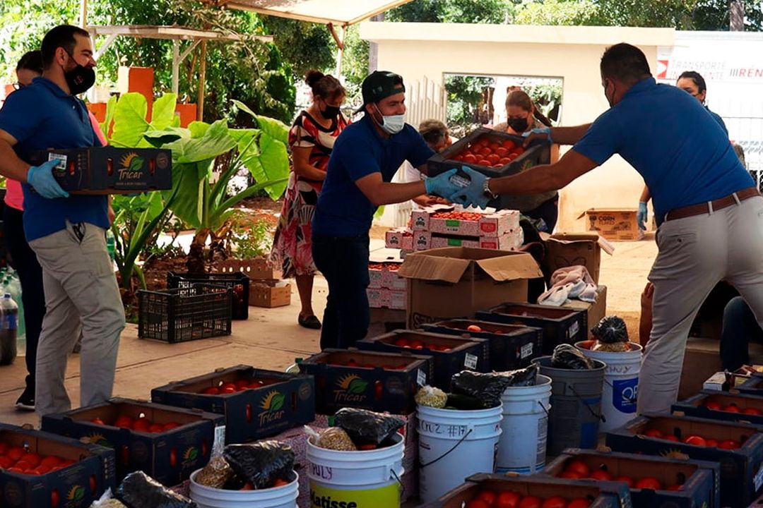 Bancos de alimentos rescatan miles de toneladas de comida aprovechable