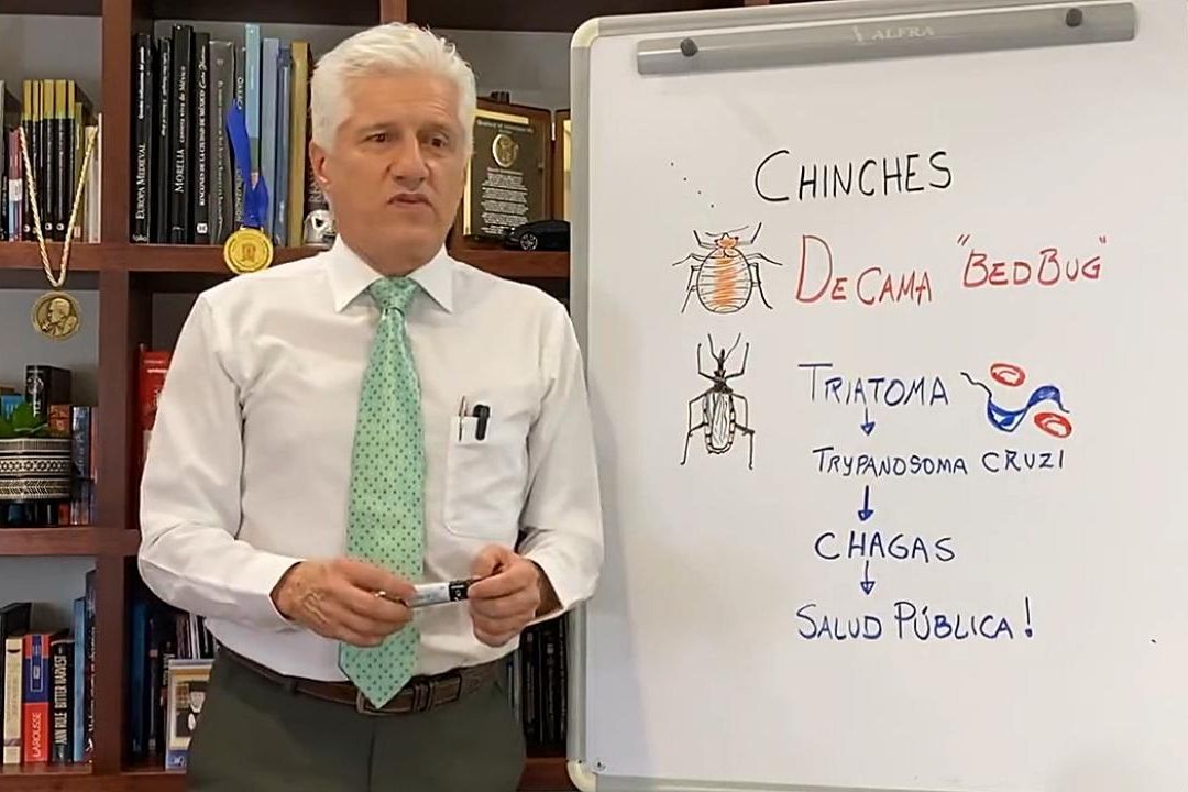Alejandro Macías dice por qué no se deben cancelar actividades por chinches