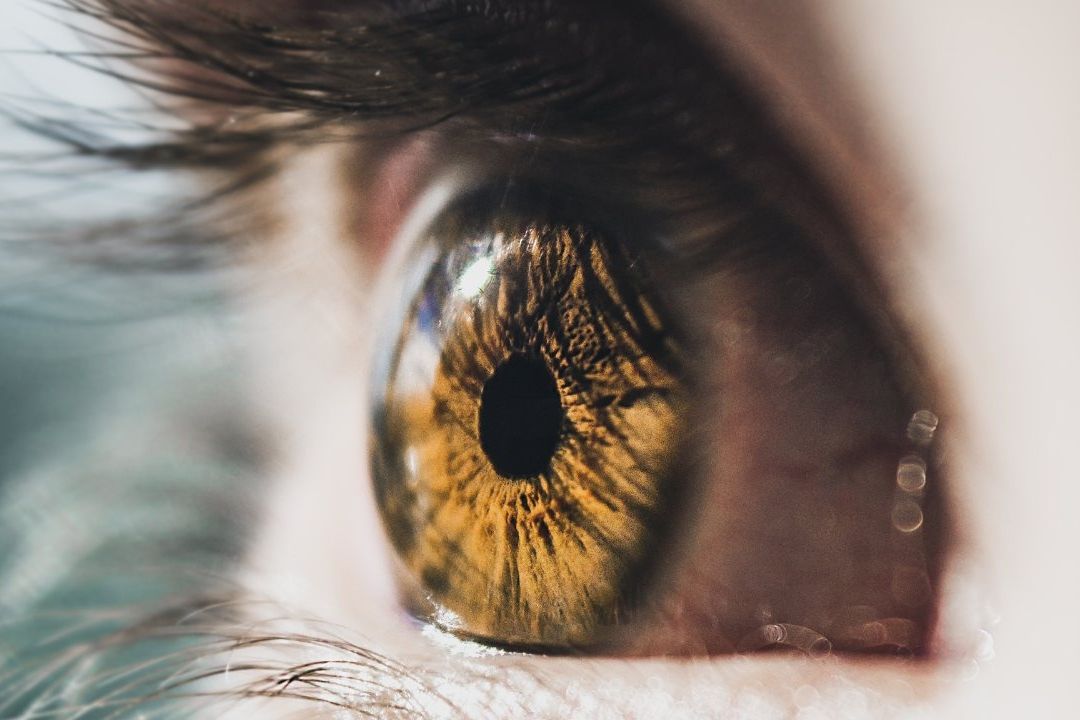 ¿Qué Pasa si Miras un Eclipse Solar sin Lentes ni Protección en los Ojos?