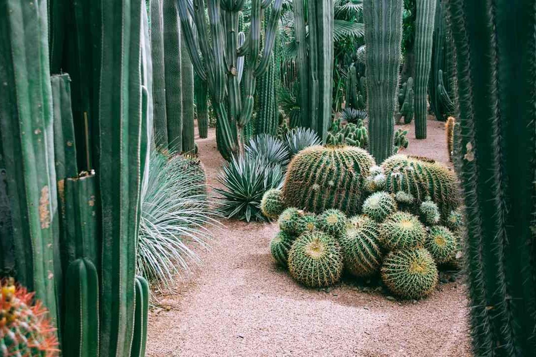 ¿Qué Se Celebra el 10 de Octubre en México? Efemérides del Día y su Explicación