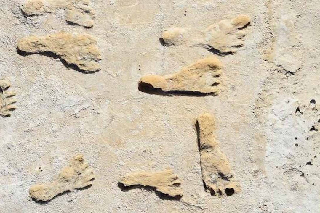 Huellas fosilizadas halladas en Nuevo México tiene 21 mil años de antigüedad