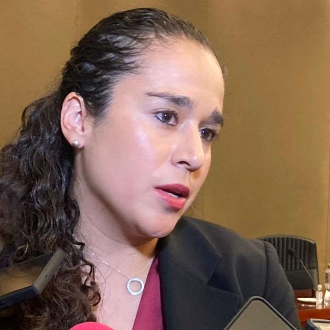 El IEEM anuncia que solicitará más de 3 mil MDP para 2024
