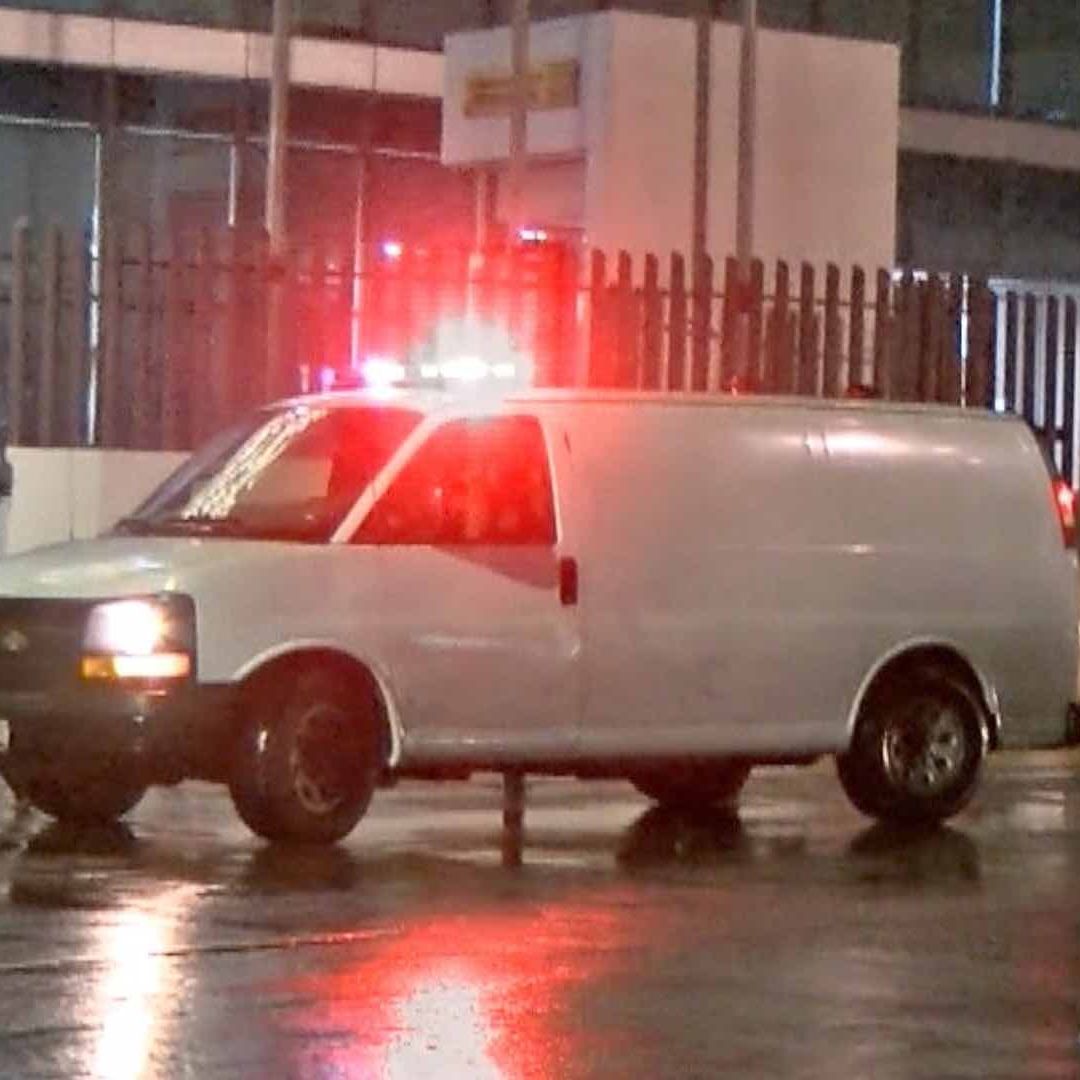 Perros se encontraban rodeando los cadáveres de los dos hombres.