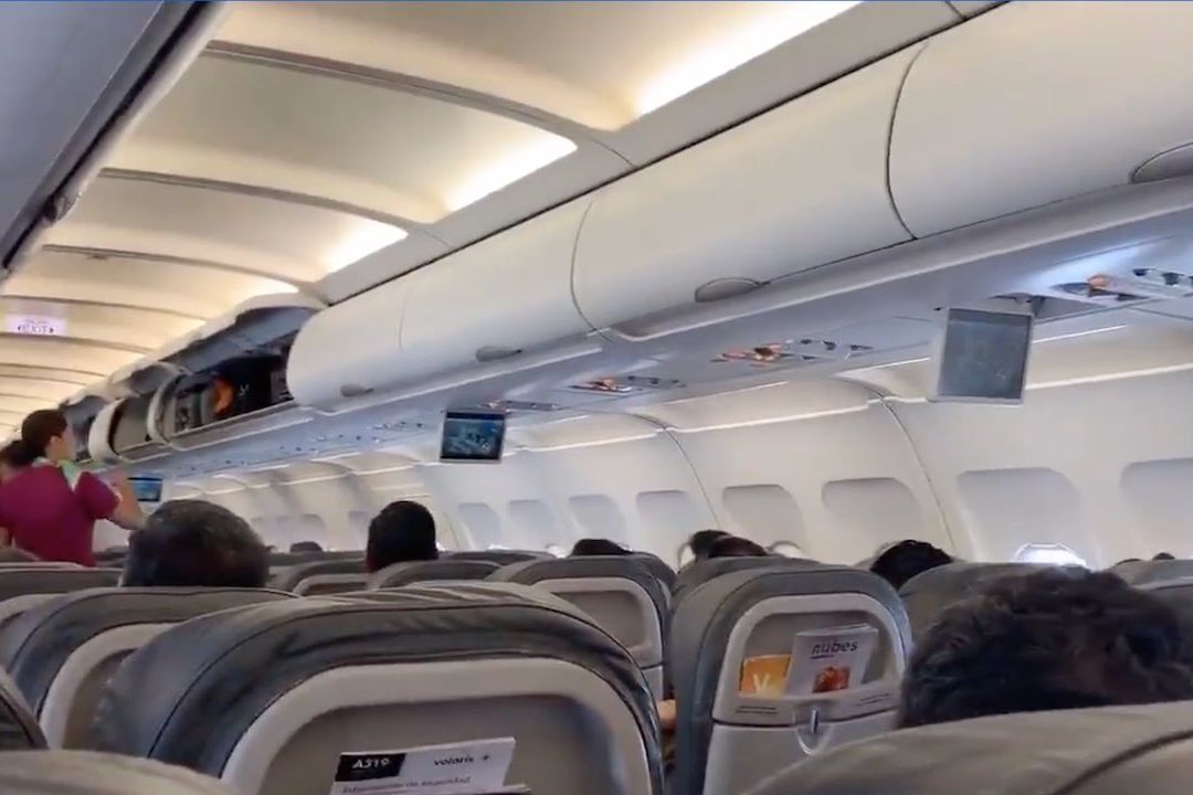 Moscos invaden vuelo de Volaris de Guadalajara a CDMX