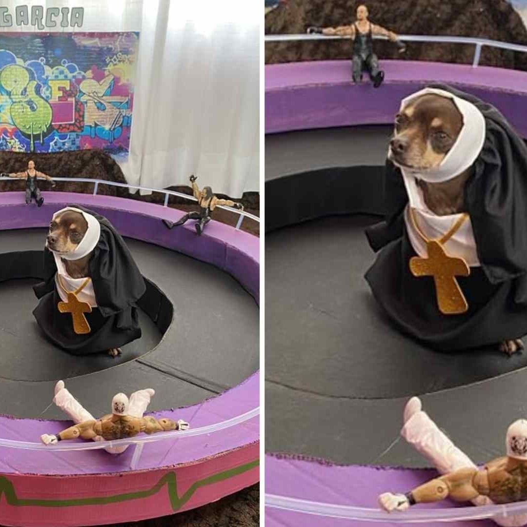Perrita con disfraz de la monja de la feria se Vuelve Viral