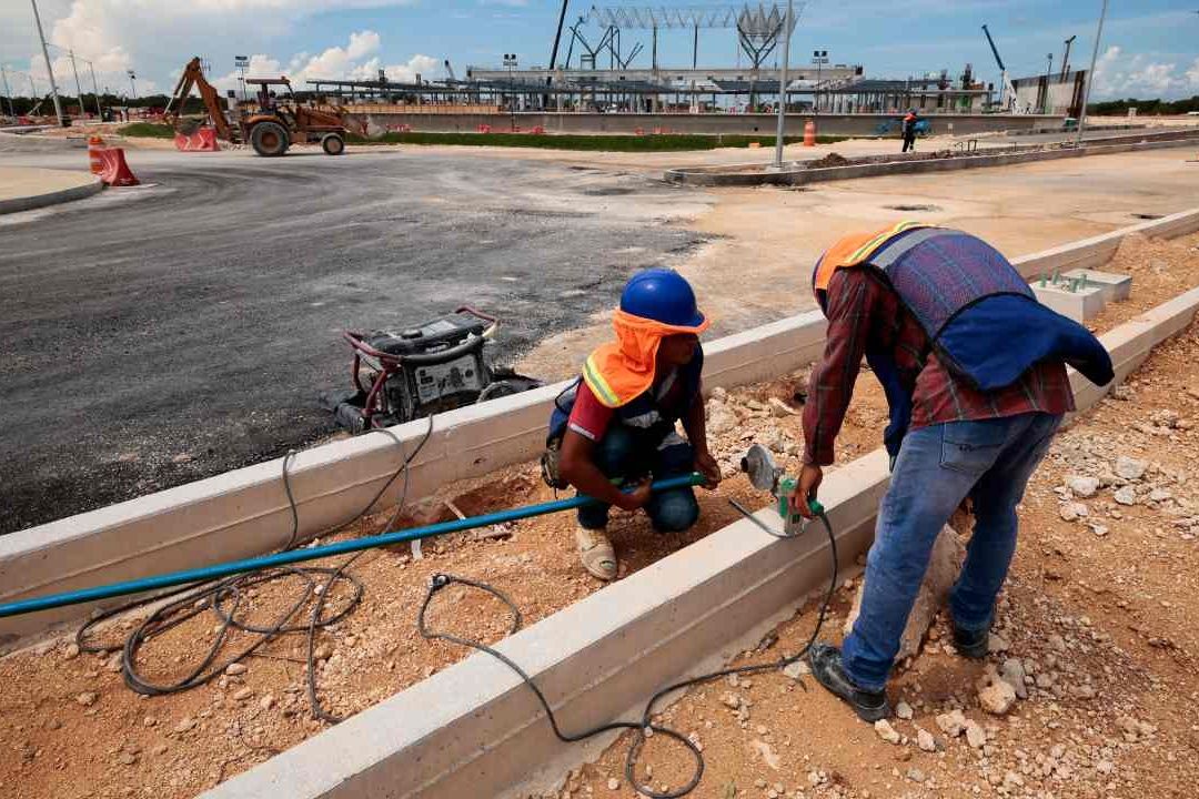 Ambientalistas denuncian ecocidio por obras del Tren Maya