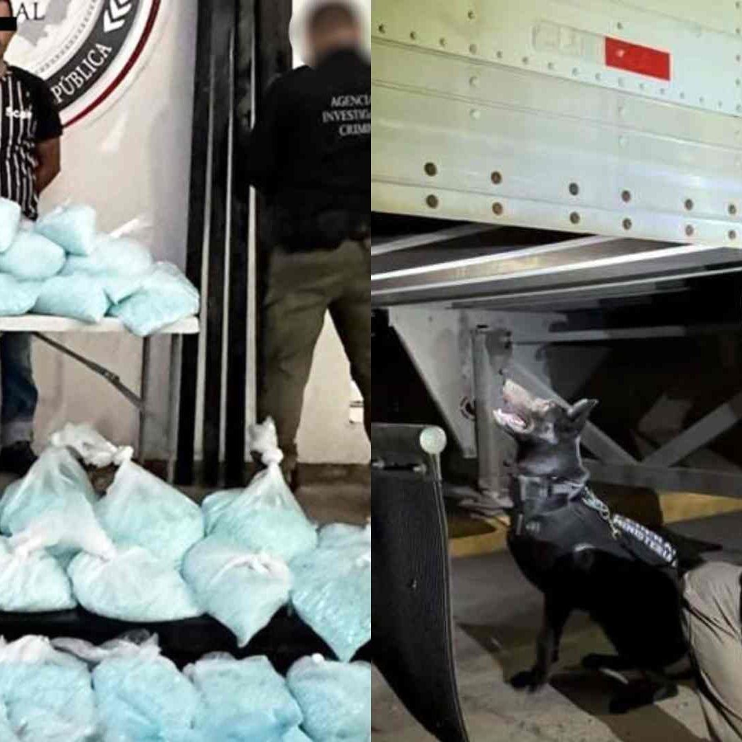 Detienen en Sinaloa a un trailero con millones de pastillas de fentanilo