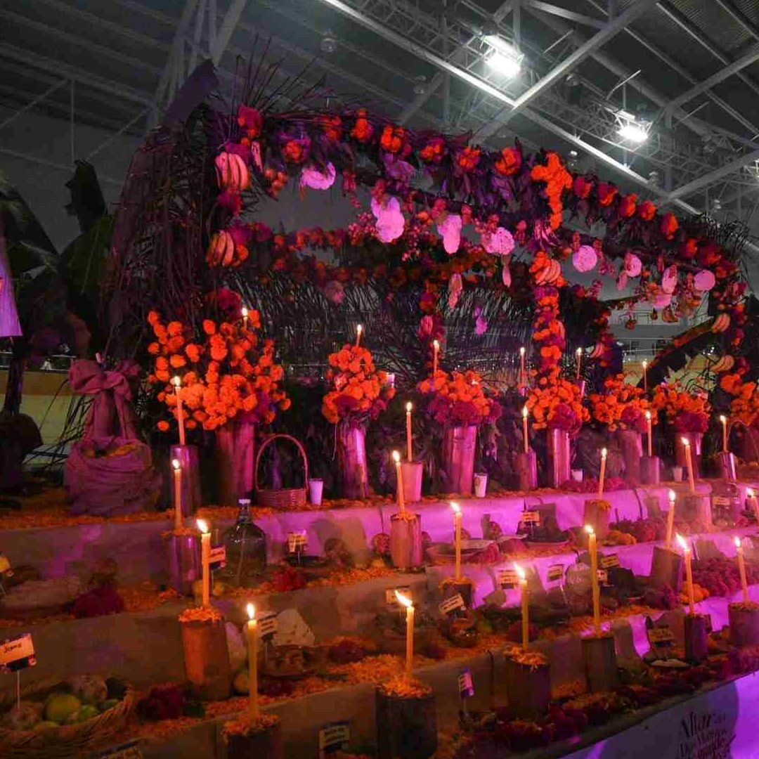 En Xalapa, Veracruz buscan romper récord del altar de Día de Muertos más grande del mundo