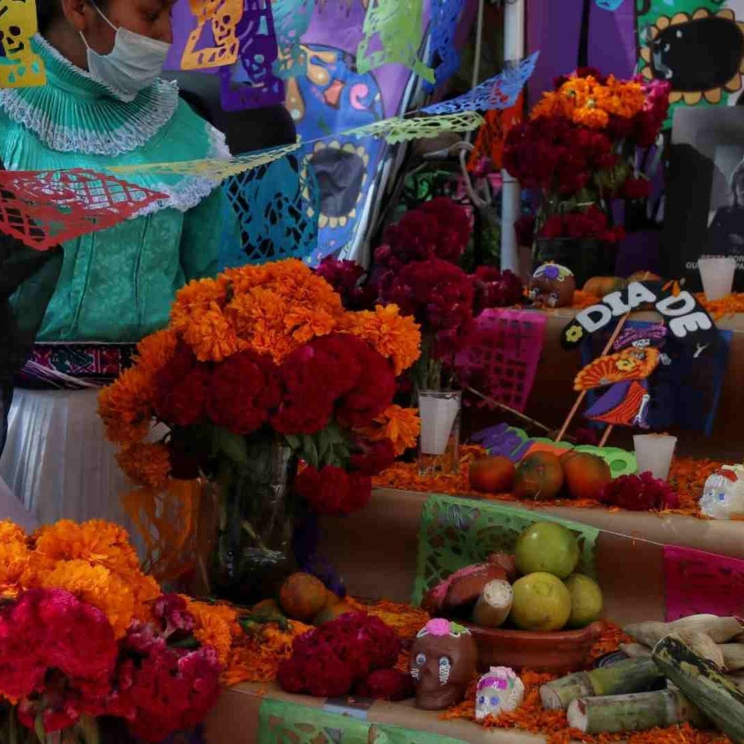 ¿Cómo Cuidar el Cempasúchil para que Dure en la Ofrenda?