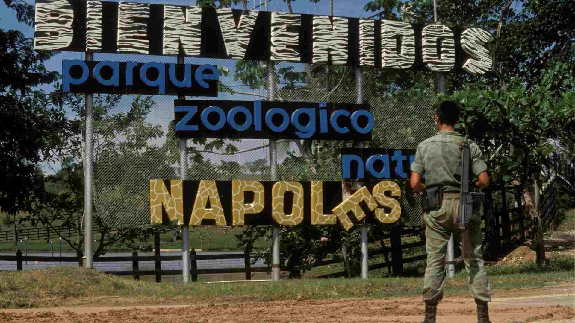 Soldados colombianos ocupan la hacienda 'Nápoles' de Pablo Escobar en Puerto Triunfo, Colombia