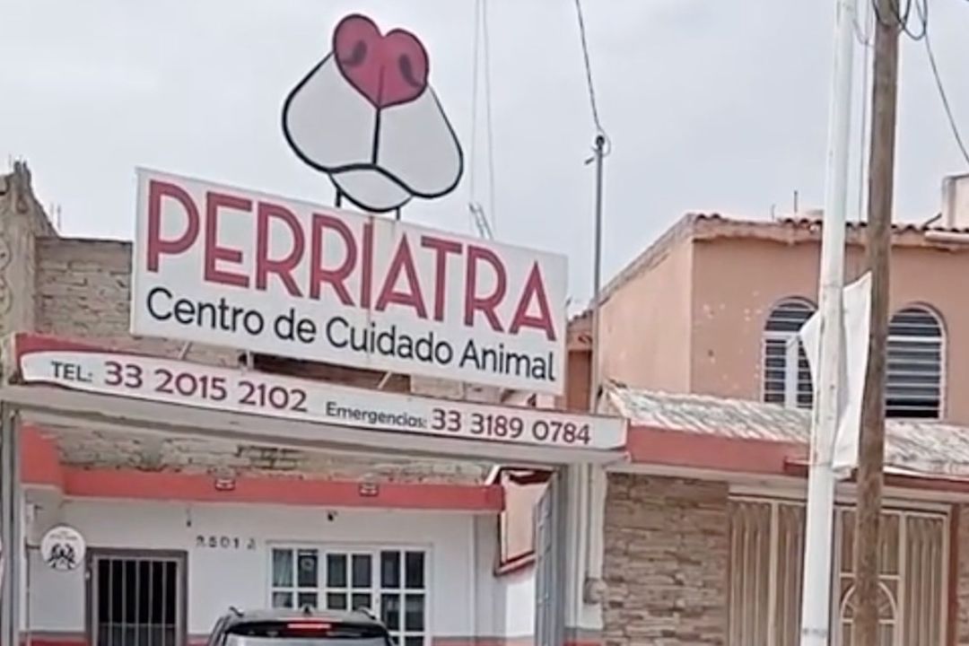 Bautizan una clínica veterinaria como ‘Perriatra’ en Zapopan