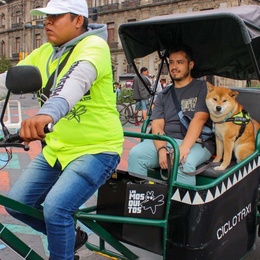 Reglamento Para Ciclotaxis del Centro Histórico de CDMX