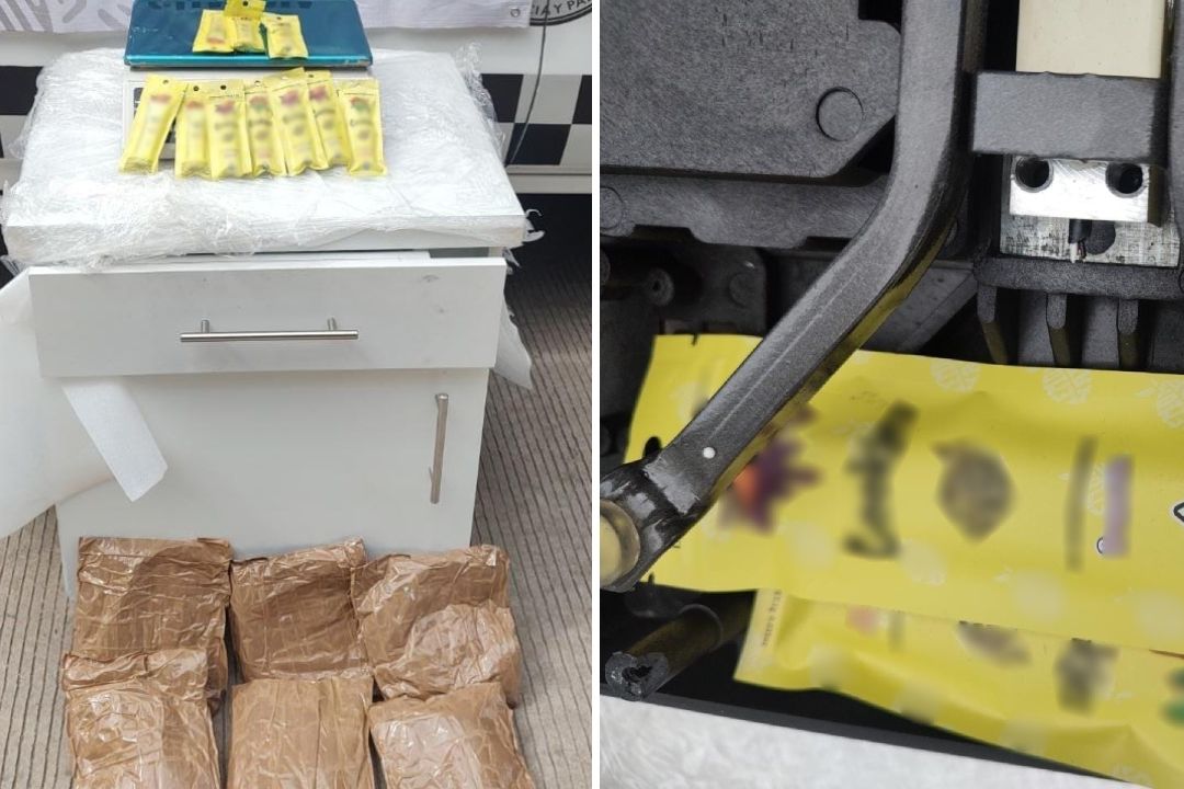 Perro de la GN Intercepta Cristal y Vapeadores con Cannabis, en Sinaloa
