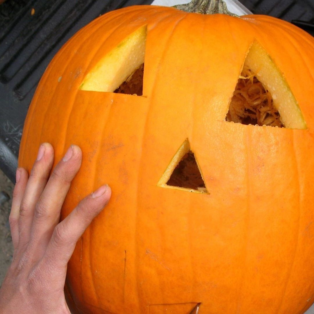 venta de calabazas por Día de Muertos.
