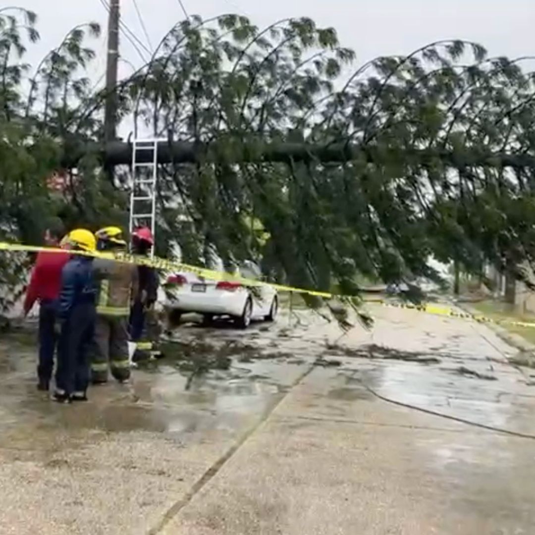 Protección Civil de Coatzacoalcos continúan brindando servicios de auxilio