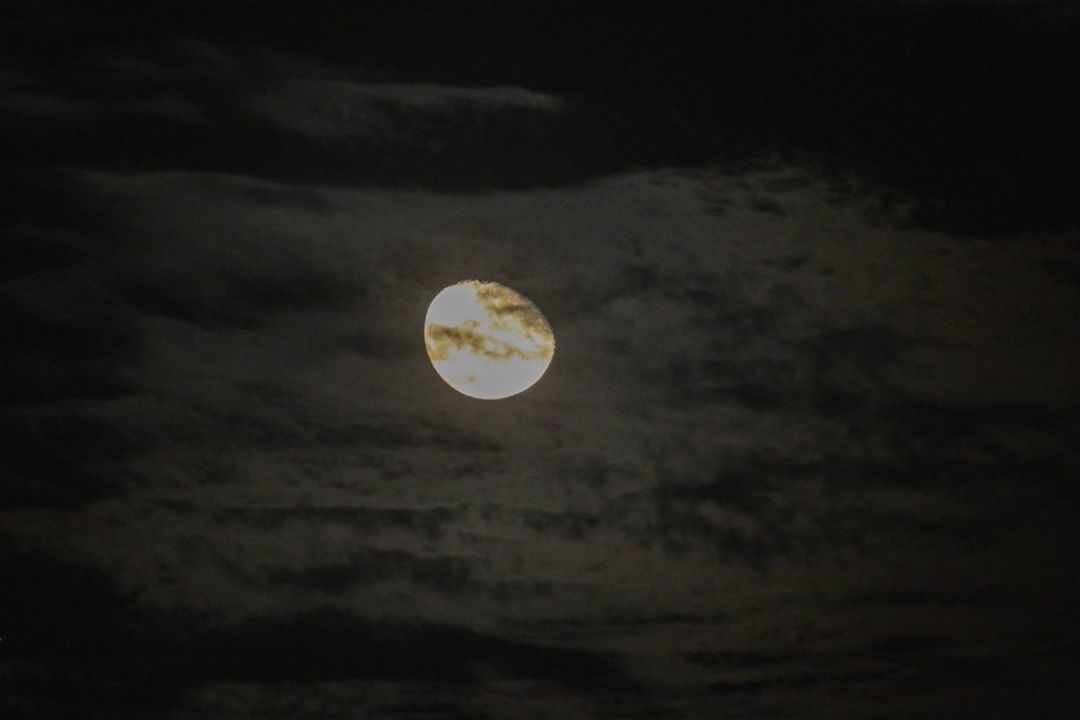 Calendario Lunar: ¿Cuándo Hay Luna Llena y Lluvia de Estrellas en Noviembre 2023?