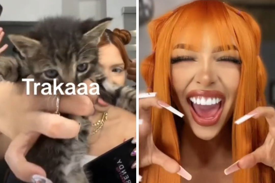 ¿Qué es Traka en México? Este es su Significado en TikTok y Redes Sociales