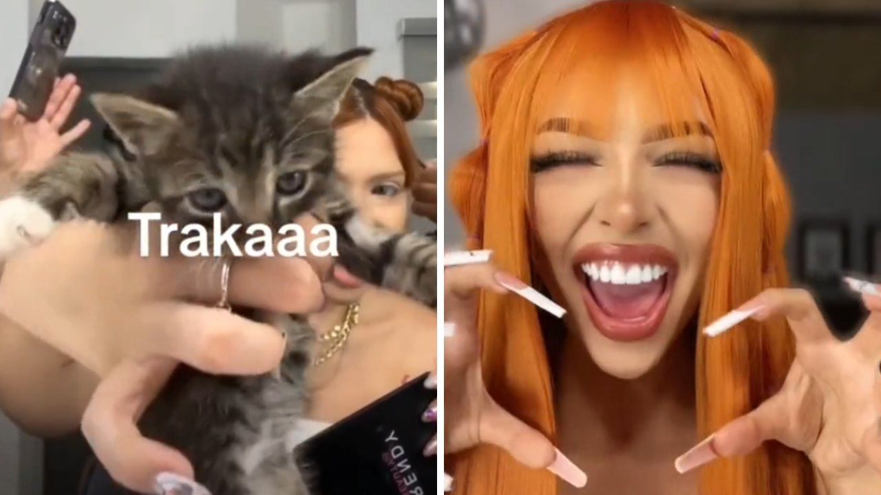 ¿Qué es Traka en México? Este es su Significado en TikTok y Redes Sociales