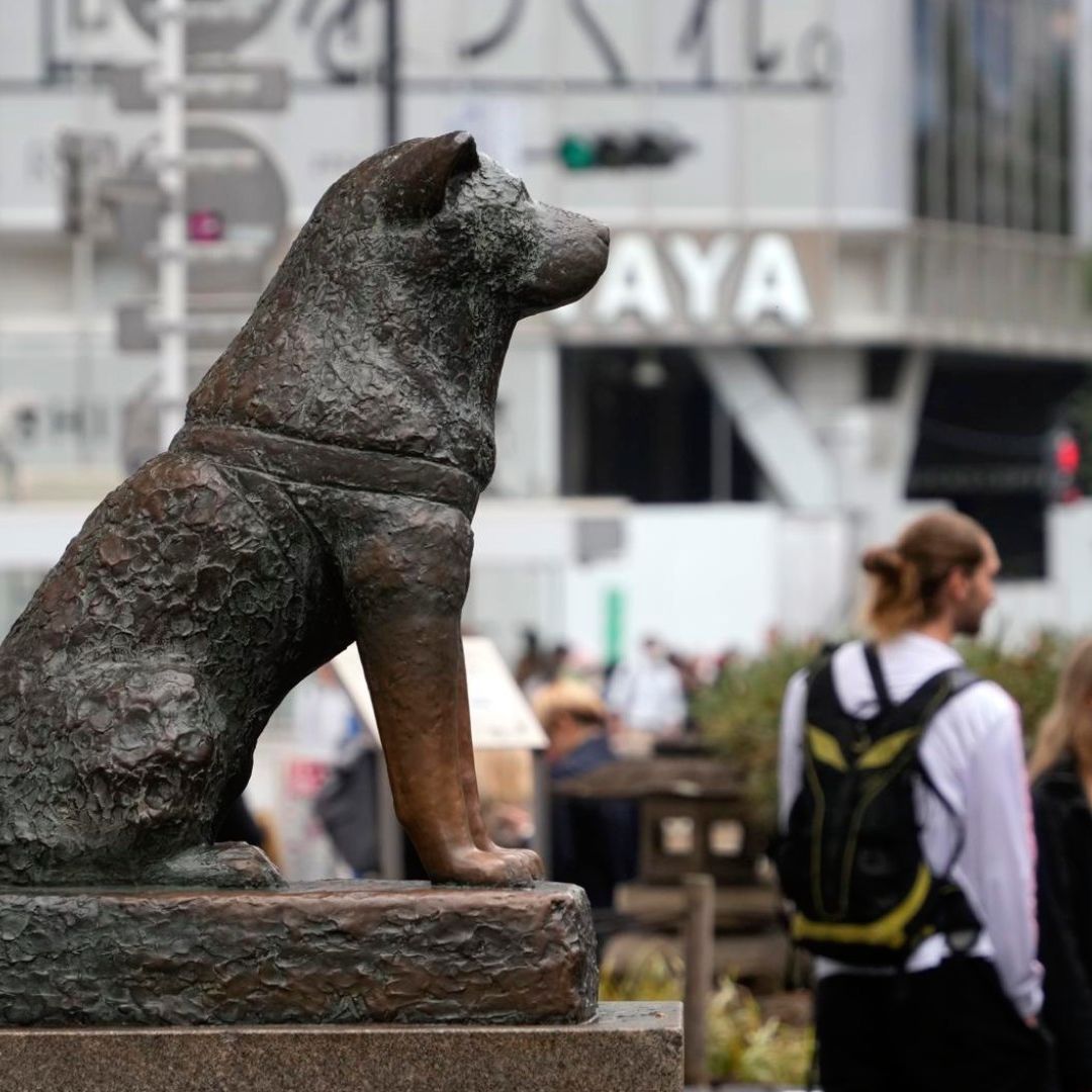 Hachiko: 100 Años Esperando A Su Dueño en la Estación de Tren de Shibuya