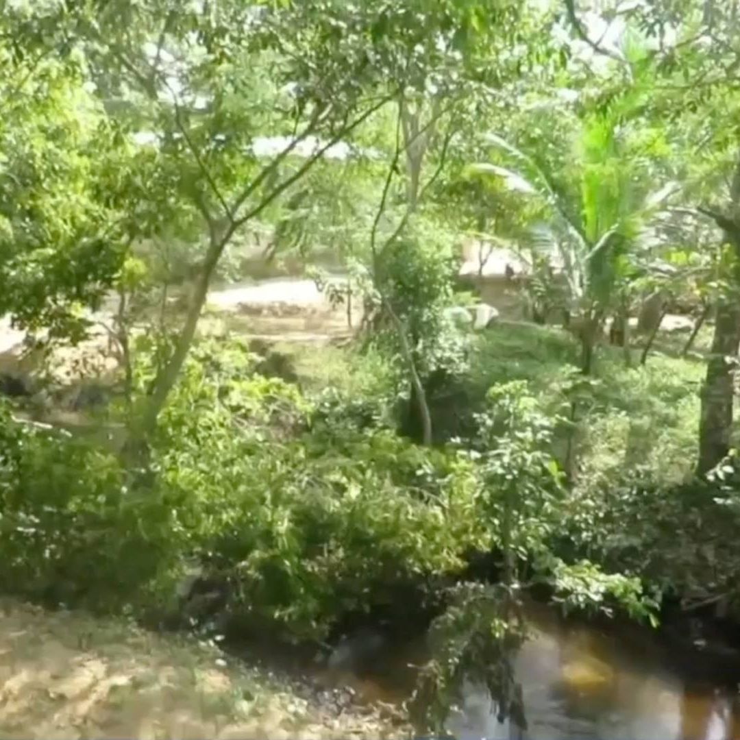 Derrame de hidrocarburo en arroyo Mezcalizapa