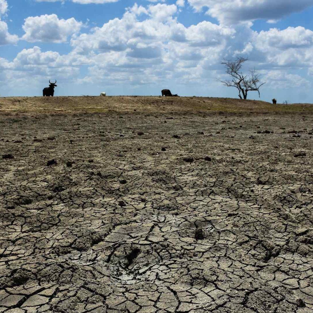 ¡Histórico! El Año 2023 es el Más Caliente en México en Casi un Siglo