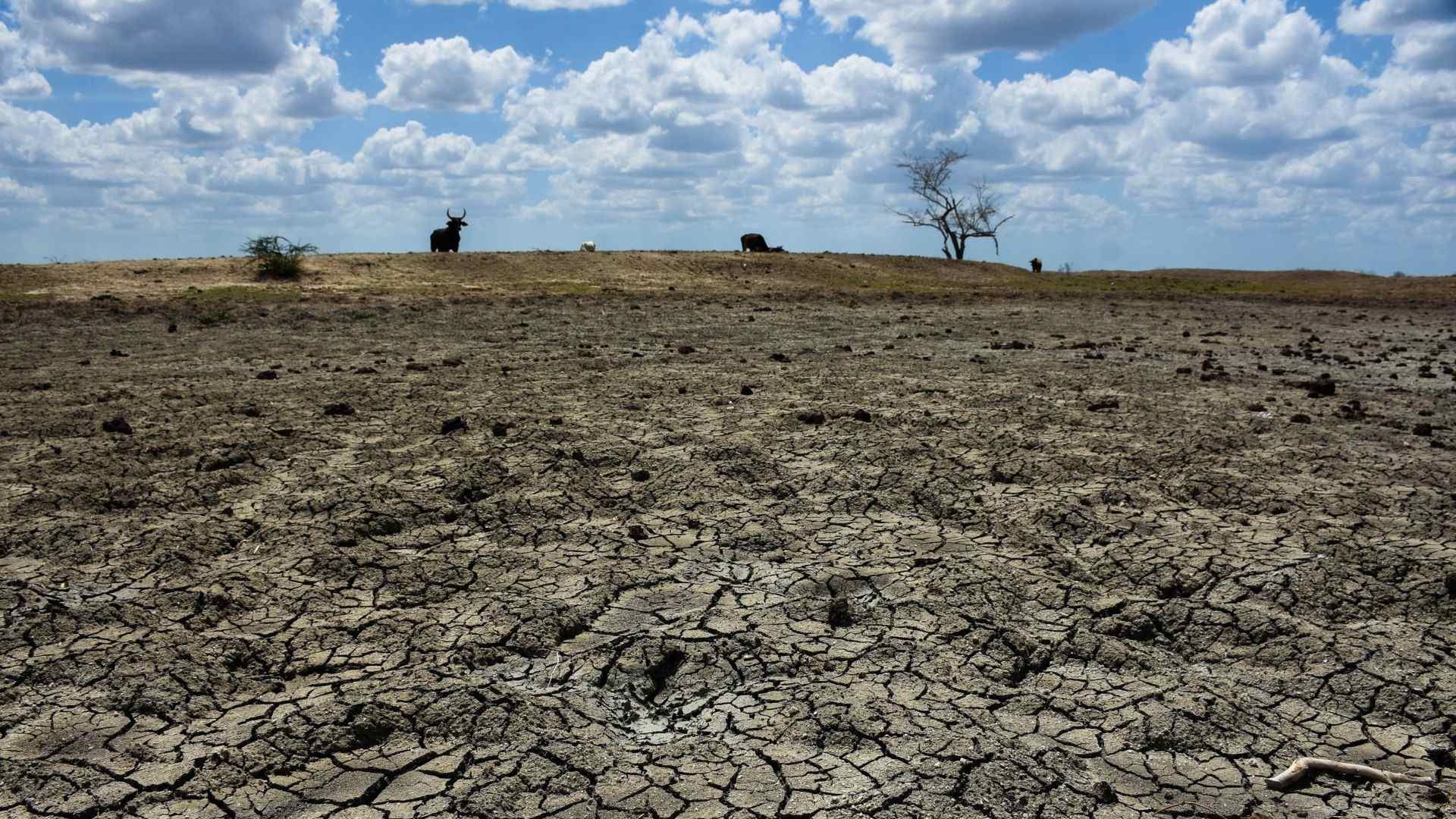 ¡Histórico! El Año 2023 es el Más Caliente en México en Casi un Siglo