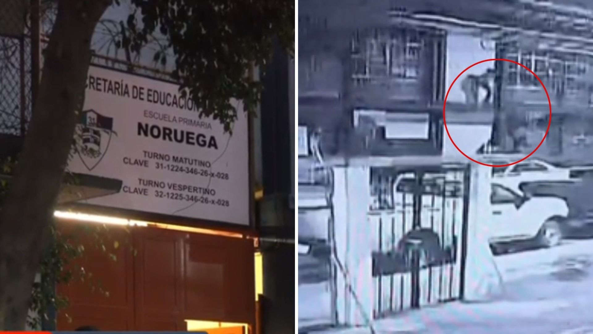 Video: Conserje de Escuela Primaria Noruega