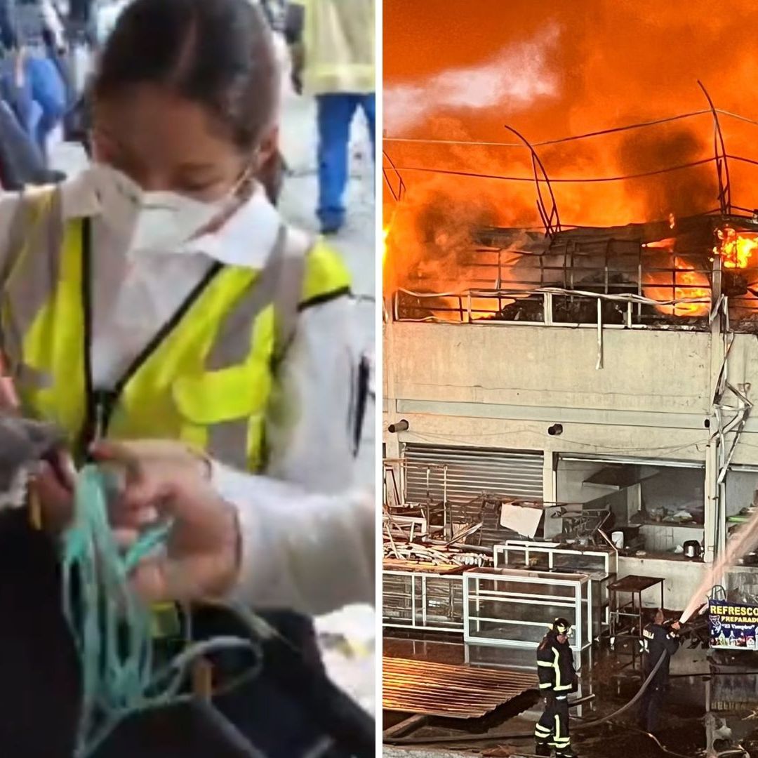 Rescatan a Gatito de Incendio de Plaza Oasis en Tepito