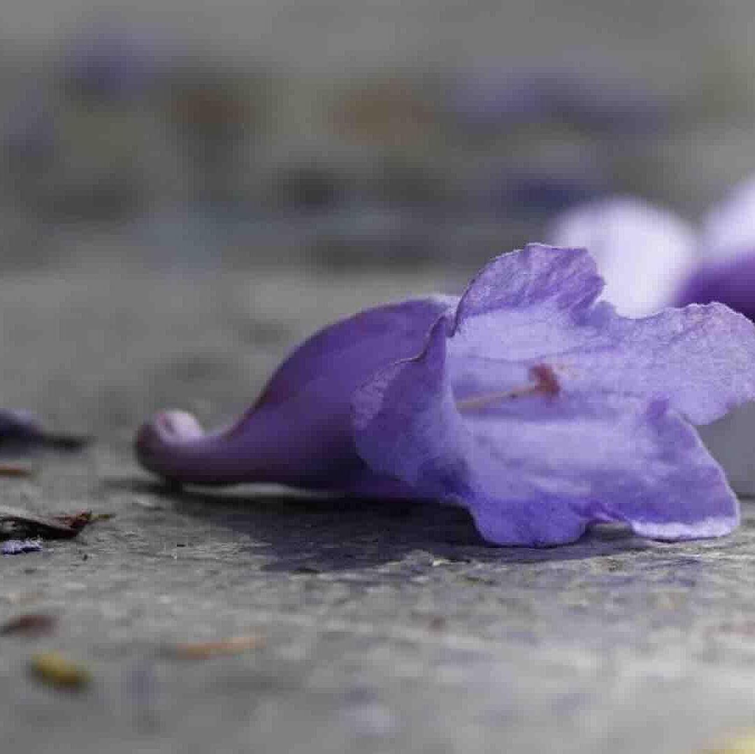 Foto | Invierno Entra en México y Provoca Bajas Temperaturas y Lluvias en Varios Estados