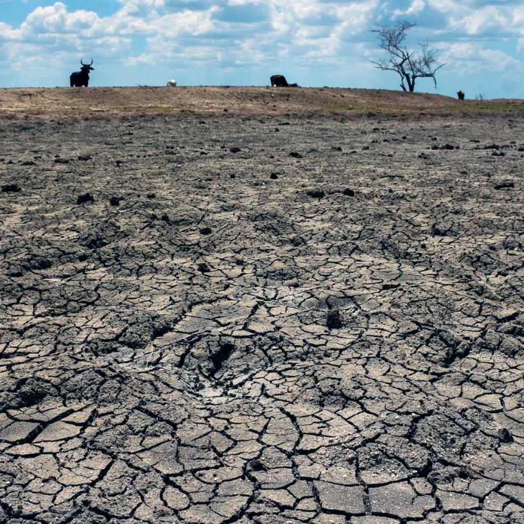 Tierra agrietada por una sequía.