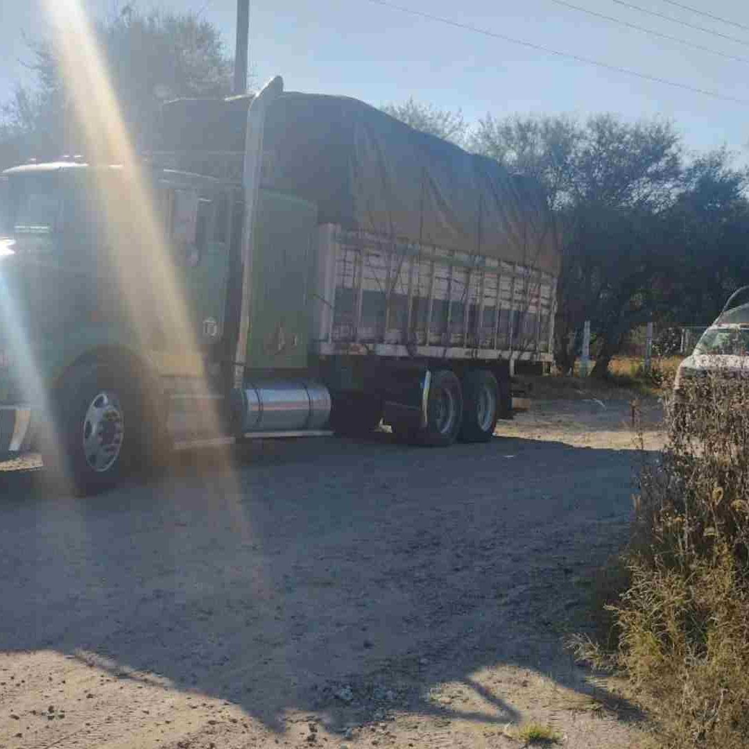 Autoridades resguardaron la zona durante horas