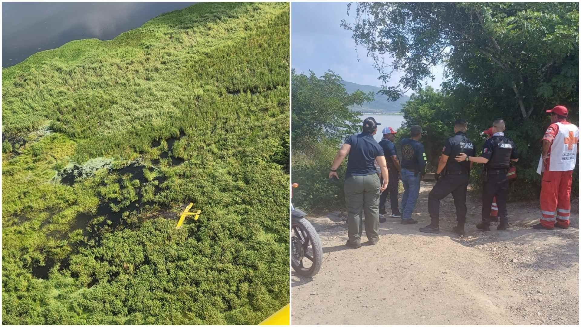 Piloto Muere tras Aterrizaje de Emergencia en Colima