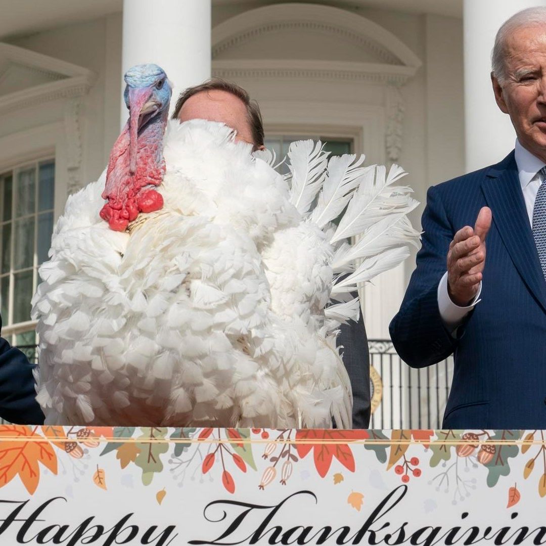 Biden cumple 81 años e indulta dos pavos